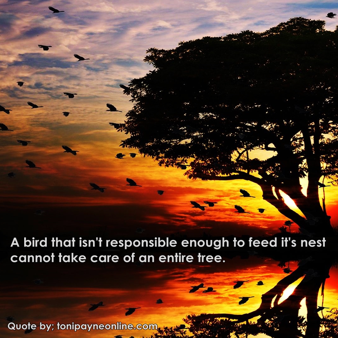Quote about Responsibility bird