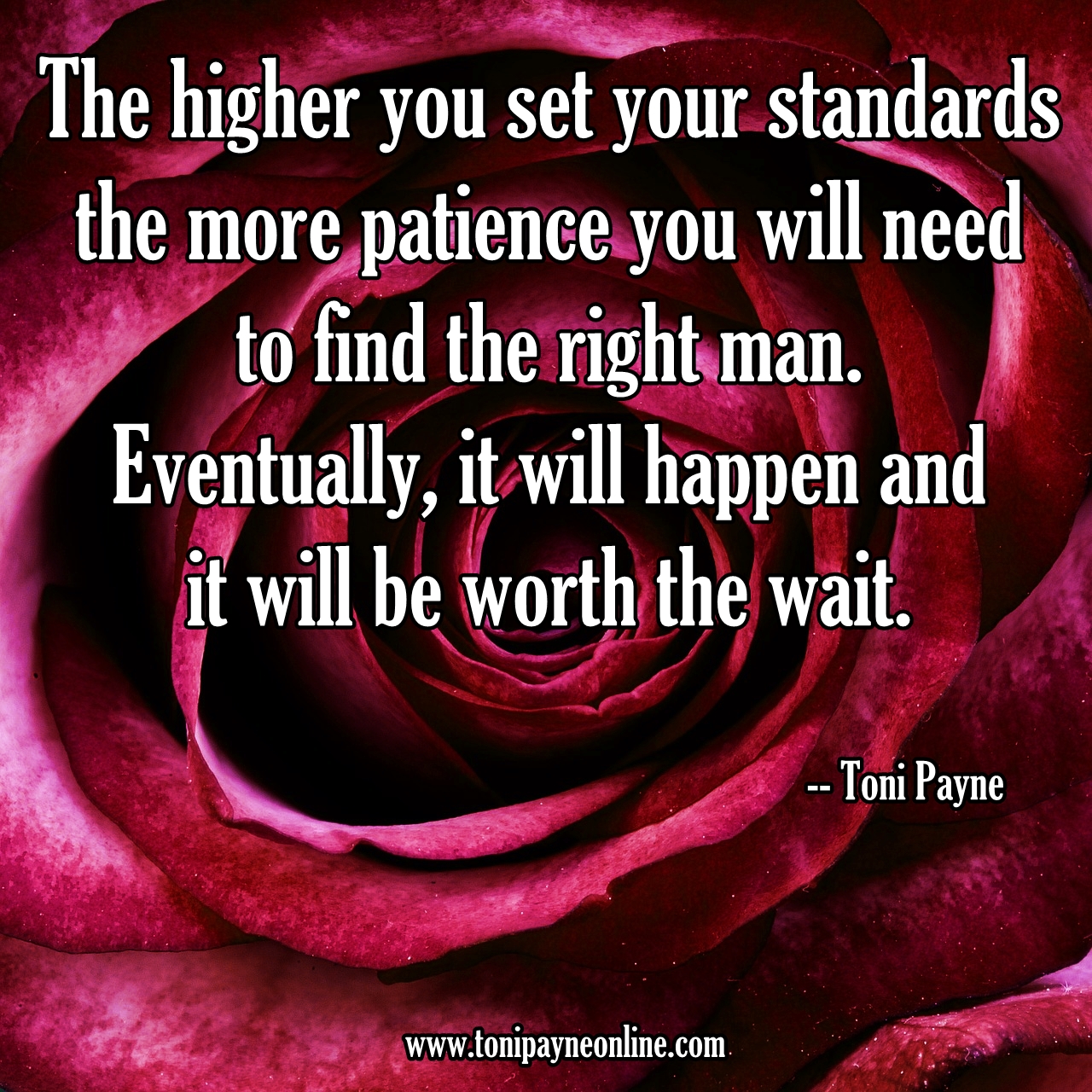 Quote about Having Patience when finding a significant other