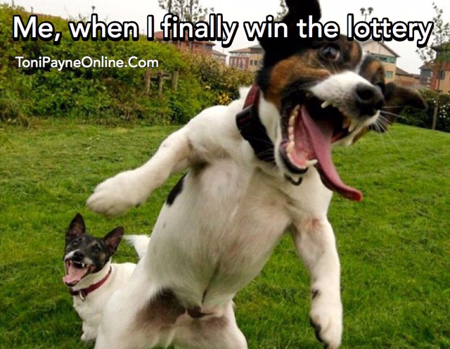 Funny meme when I win the lottery crazy cute dog meme