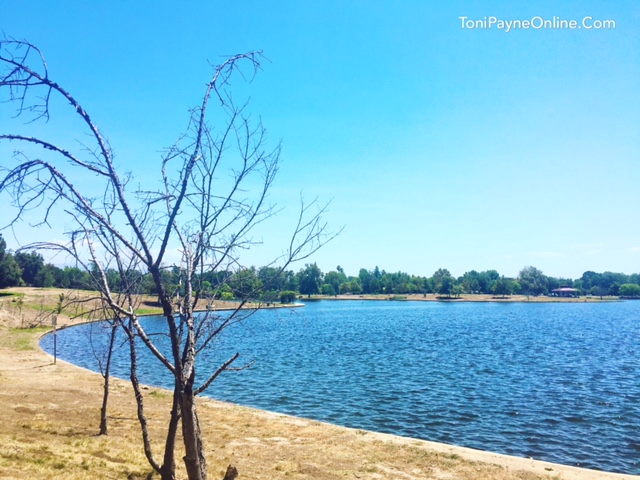 Lake Balboa serene places san fernando valley 2