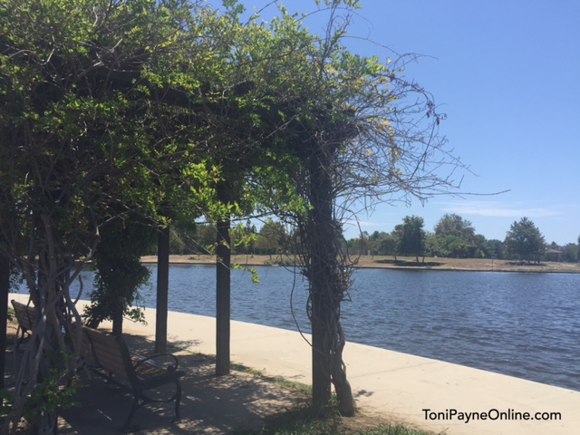 Lake Balboa serene places san fernando valley