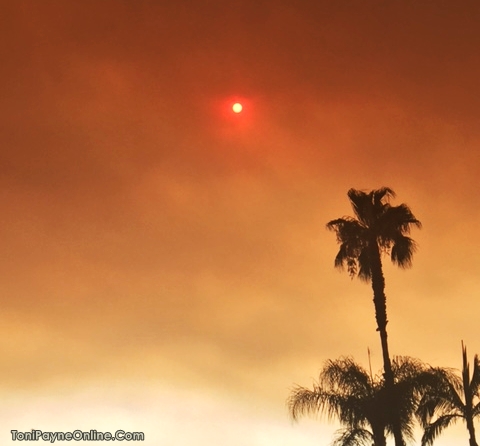 Picture of the Red Sun in Los Angeles caused by the Sand Fire