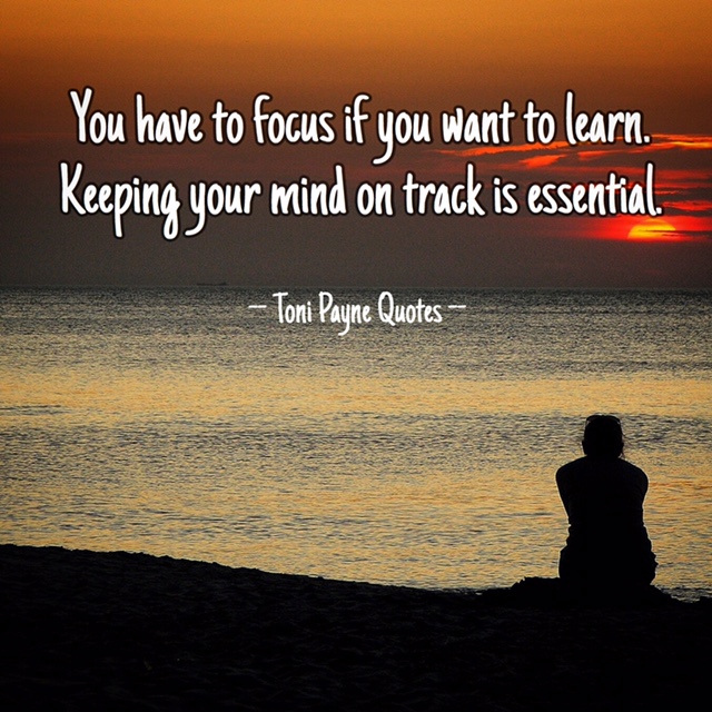 Quote about staying focused and on track to learn