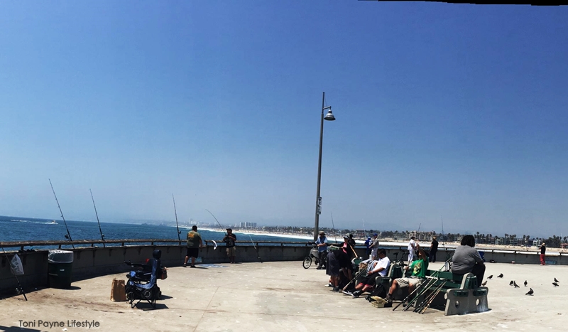 things-to-do-at-venice-beach-fishing
