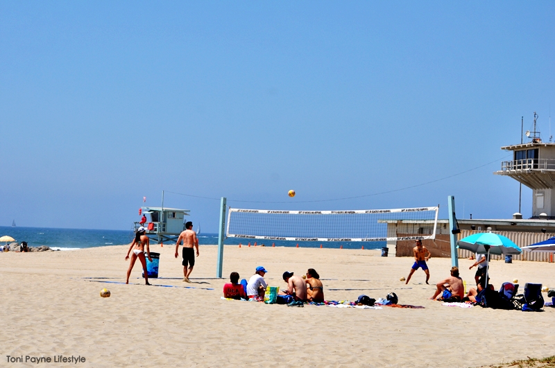 things-to-do-at-venice-beach-vollyball