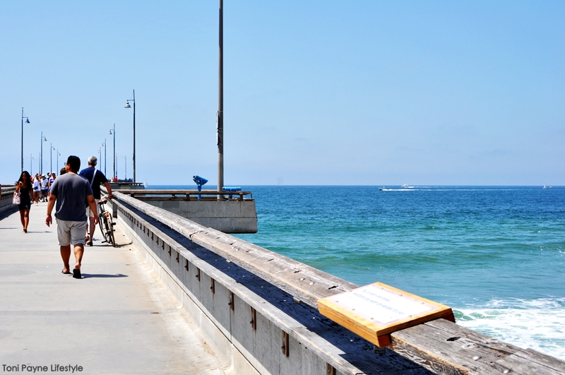 Things to do at Venice beach - pier