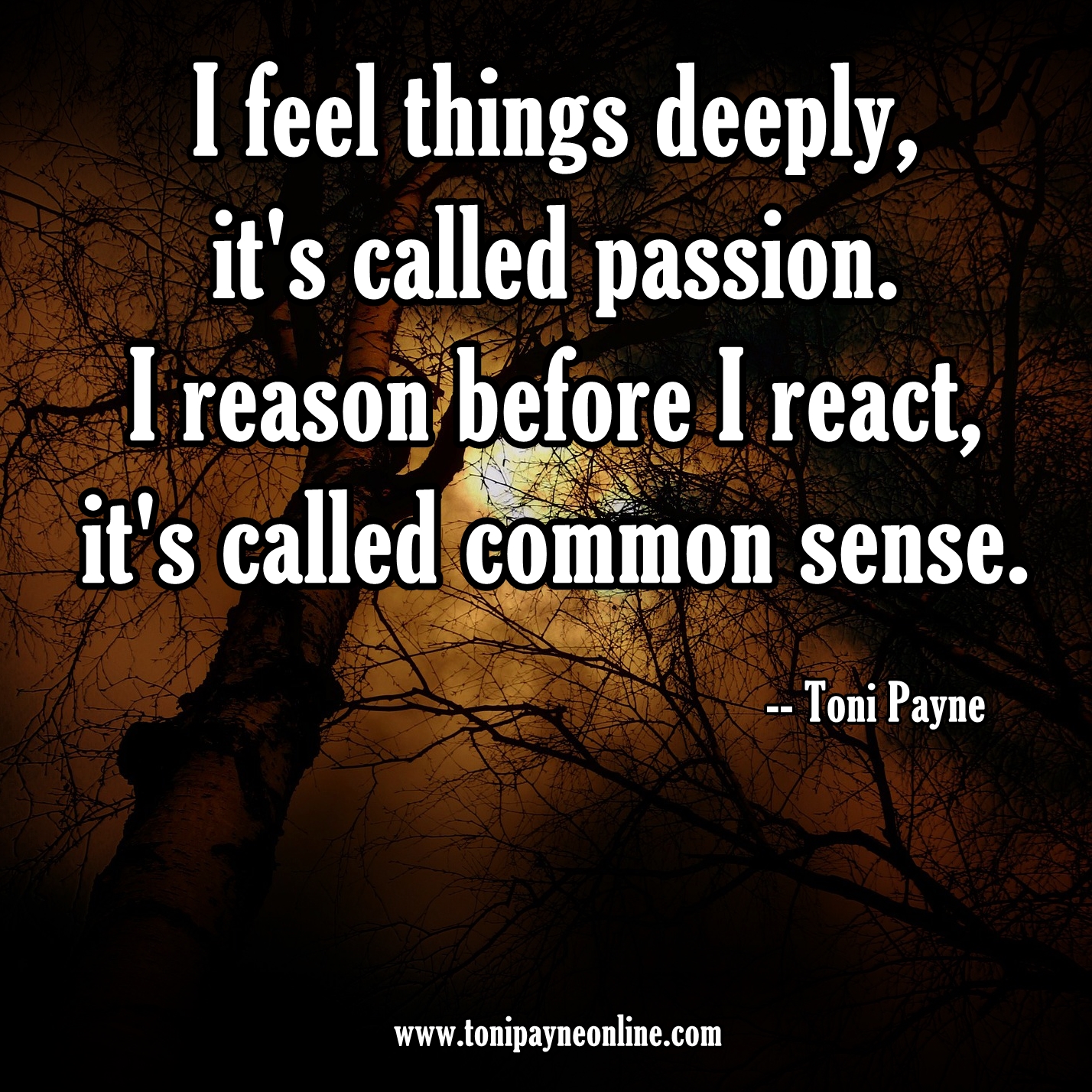 Picture Quote About Passion and Common Sense – I feel things deeply
