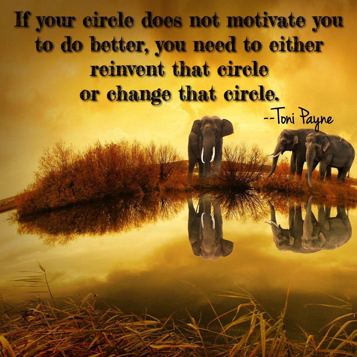 Quote About Life If your circle does not motivate......... Toni
