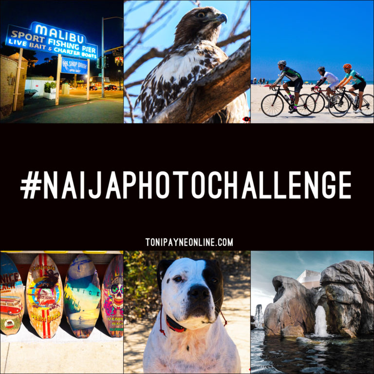 NIGERIAN PHOTOGRAPHY CHALLENGE